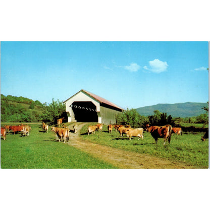 E. Gates Farm Bridge Cambridge VT Vintage Covered Bridge Postcard PC12