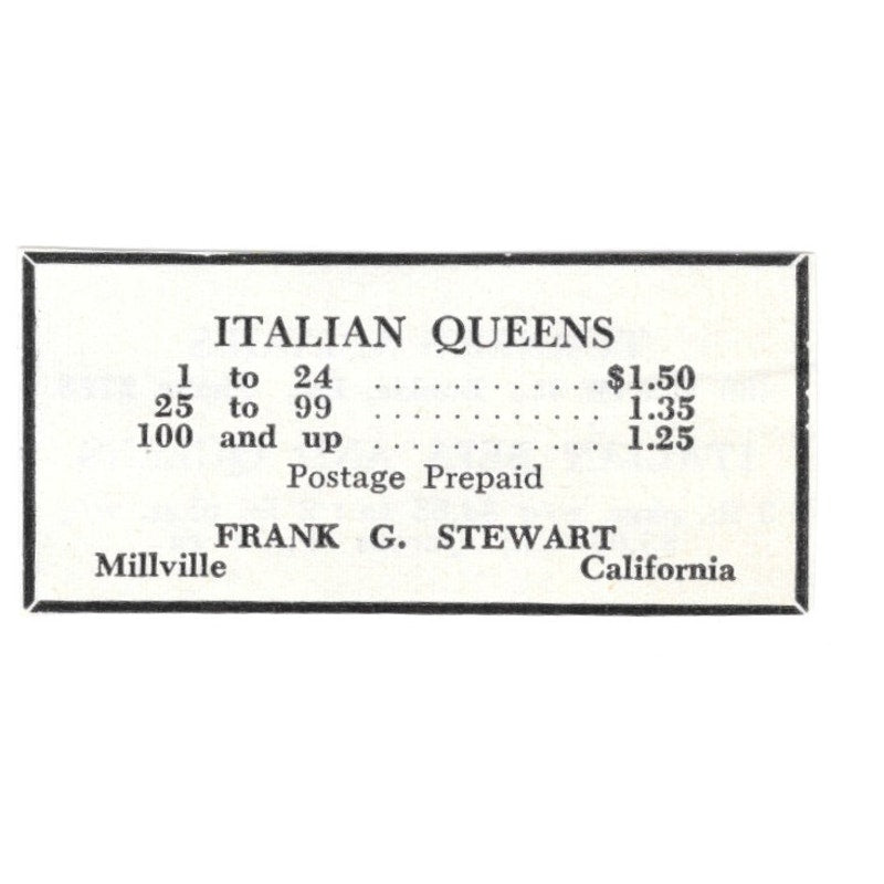 Italian Queens Frank G. Stewart Millville California 1961 Magazine Ad AK6-S13