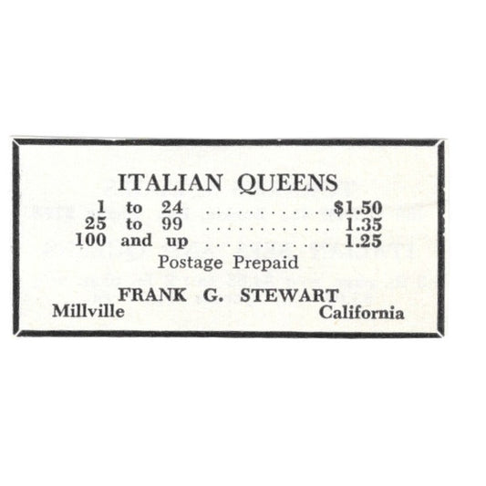 Italian Queens Frank G. Stewart Millville California 1961 Magazine Ad AK6-S13