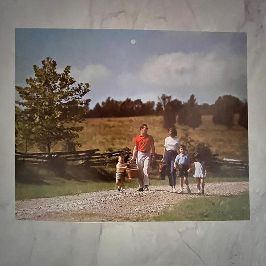 1973 Retro Kitsch Family Country Picnic Scene 8x10" Art Print V23