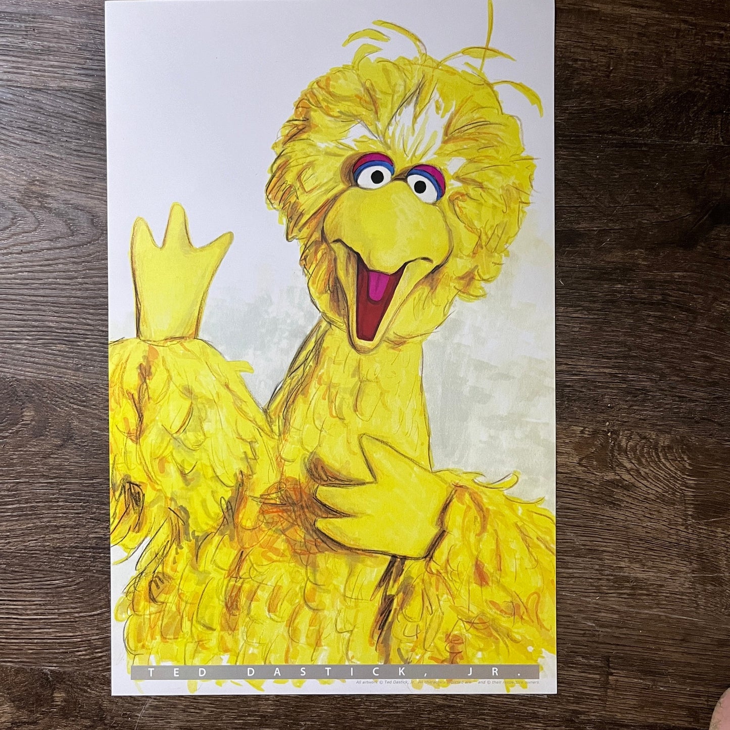 Big Bird Sesame Street - Ted Dastick Jr Art Poster 11x17 V7