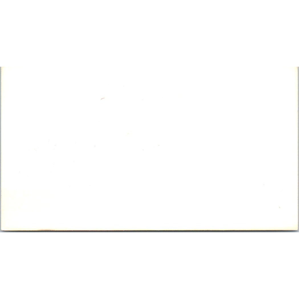 Vernon Brown Quality Painting Houston TX Vintage Business Card SD8-B14