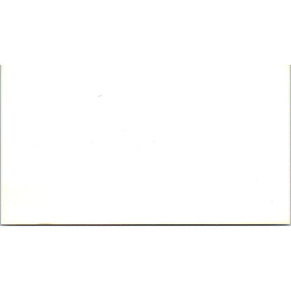 Vernon Brown Quality Painting Houston TX Vintage Business Card SD8-B14