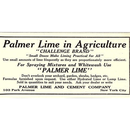 Palmer Lime and Cement Company New York City 1924 Ad AG3-M3