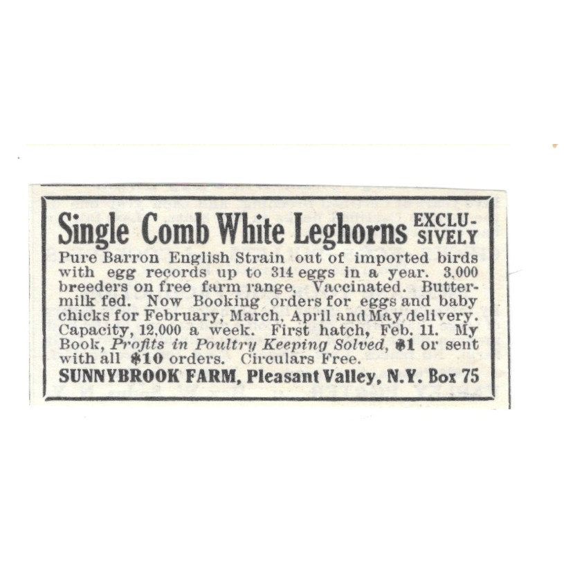 Sunnybrook Farm White Leghorns Pleasant Valley NY 1924 Ad AG3-S3