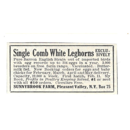 Sunnybrook Farm White Leghorns Pleasant Valley NY 1924 Ad AG3-S3