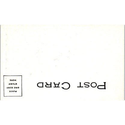 c1905 Old Man of the Mountain White Mountains Original Postcard PC9