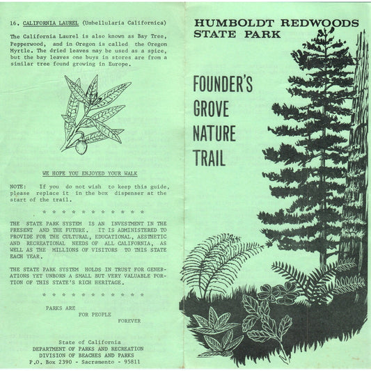 Vintage Humboldt Redwoods State Park Founders Grove Nature Trail Brochure TH2-O1