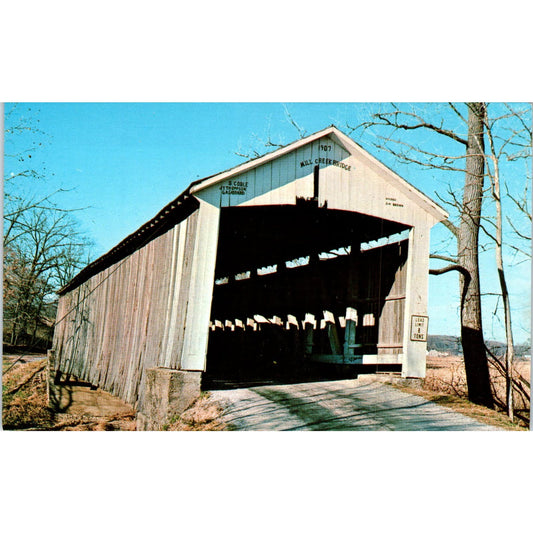 Parke County Indiana #31 Tow Path Earl Ray Covered Bridge Postcard PB13