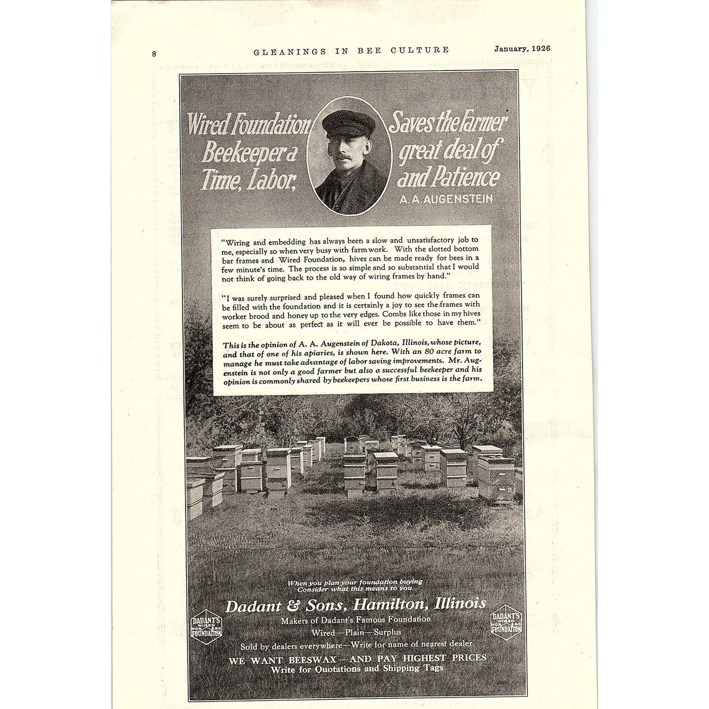 Dadant & Sons Wired Foundation Beekeeping Hamilton IL 1926 Ad AG3-9