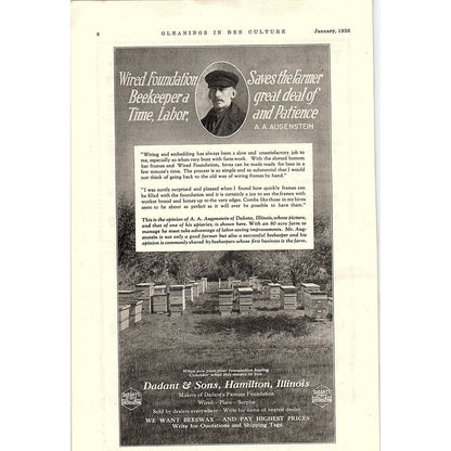 Dadant & Sons Wired Foundation Beekeeping Hamilton IL 1926 Ad AG3-9