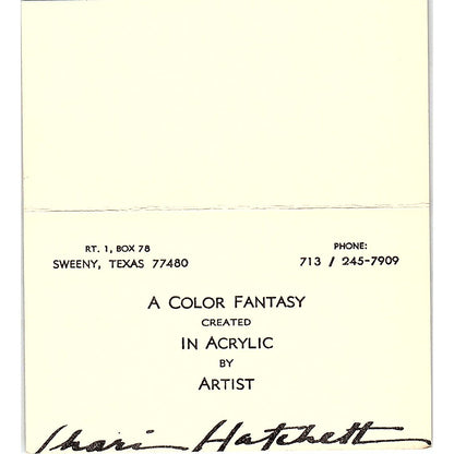 Shari Hatchett Acrylic Artist Sweeny Texas Vintage Business Card SE3-B11