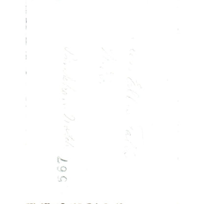 1920s Original Photo View of Glen Ellis Falls Pinkham Notch Gorham NH 3x4" AE6