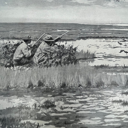 Rail Bird Hunting Bygone Days - Original 1904 A.B. Frost Art Print V14-3