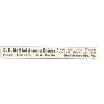 C.A. Carlin S.C. Mottled Ancona Chicks McAlisterville PA 1924 Ad AG3-S9