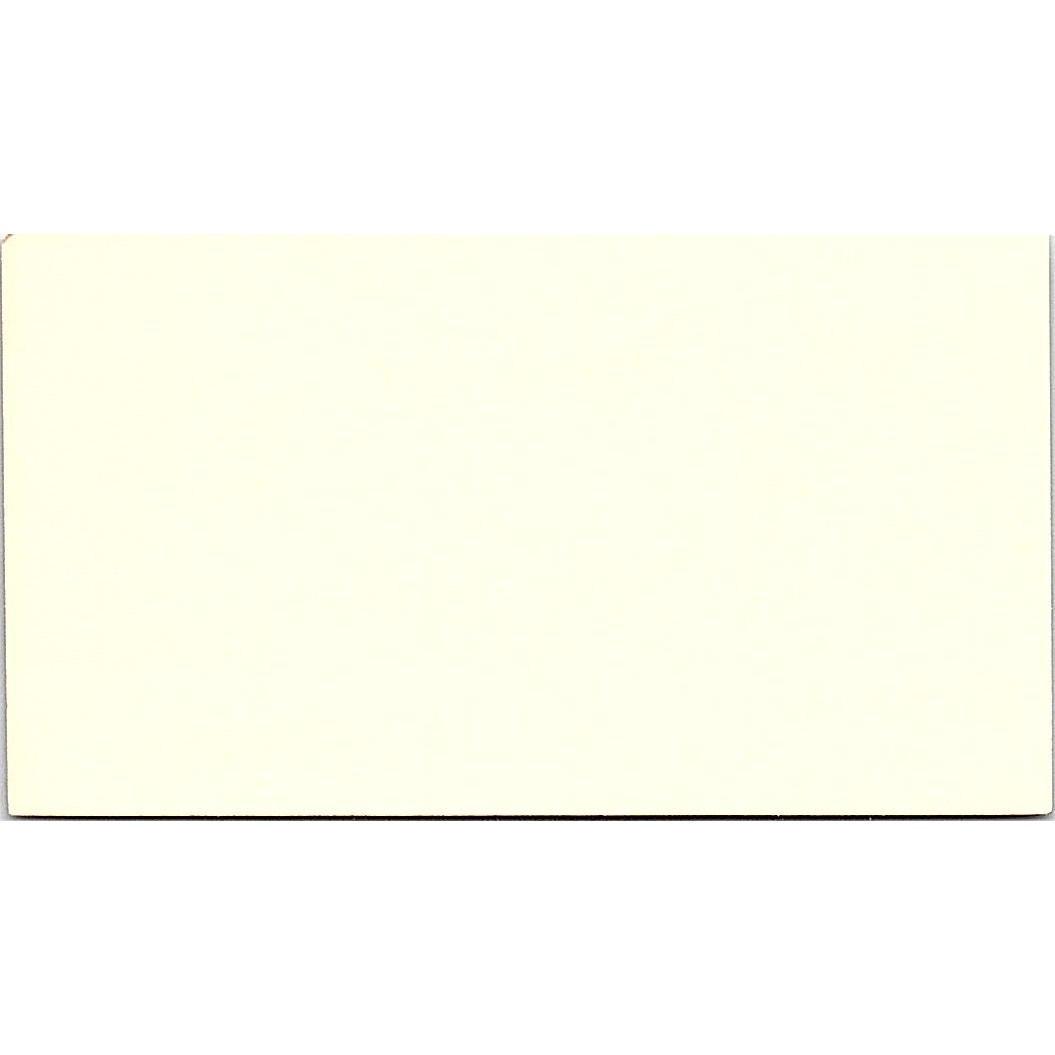 Paintings by Alice Dowd San Antonio TX Vintage Business Card SE3-B11