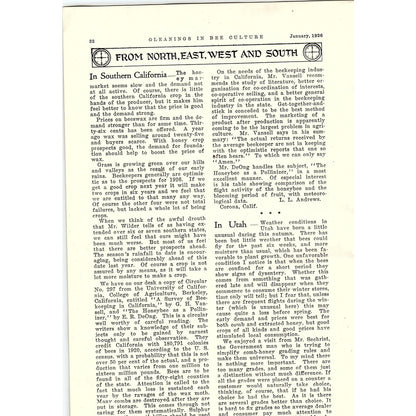 From Foreign Lands by W.J. Nolan 5 Page Beekeeping Article 1926 AG3-9
