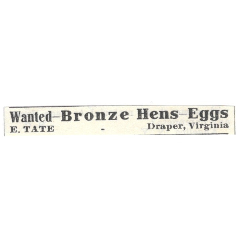 E. Tate Bronze Hens-Eggs Draper Virginia 1924 Ad AG3-S9