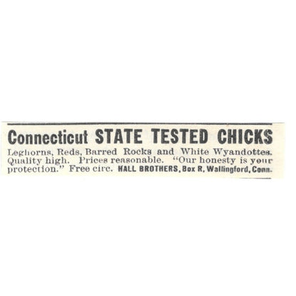 Hall Brothers State Tested Chicks Wallingford CT 1924 Ad AG3-S8