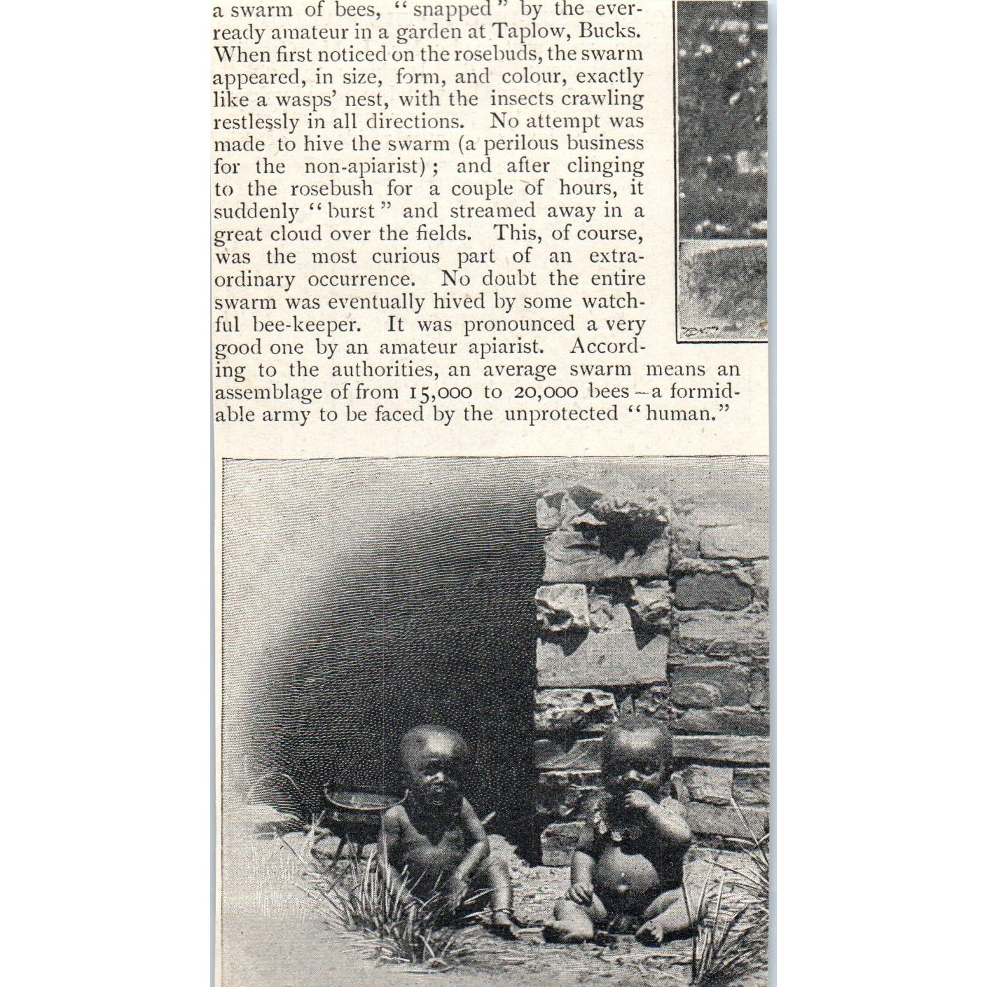 The Oldest Sundial in Kingdom Ladyacre Lanark NB 1897 Victorian Photo AE9-TS8