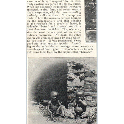 The Oldest Sundial in Kingdom Ladyacre Lanark NB 1897 Victorian Photo AE9-TS8