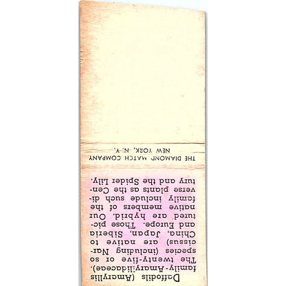 Daffodils Flower Collectible Vintage Matchbook Cover SF3-Y2