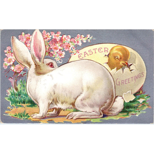 c1910 Edwardian Easter Bunny, Chick Hatching From Egg Embossed Postcard PE1