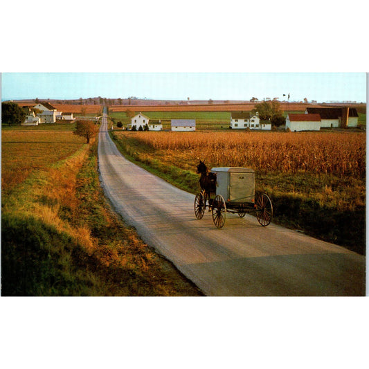 Amish Country Solitude Pennsylvania Dutch Country Postcard PD7