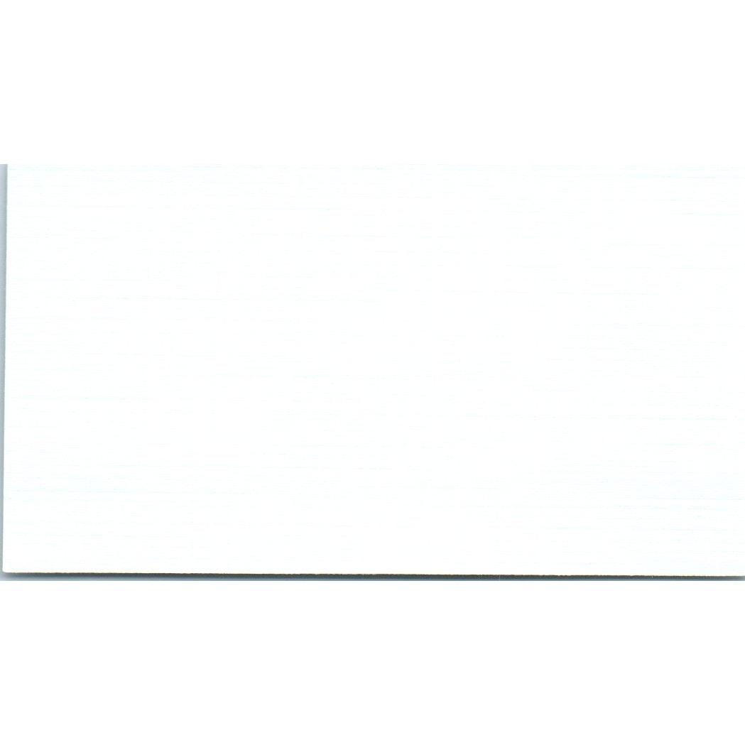 Blue Water Charters Capt. Bob Oz, Jim Morrison Houston TX Business Card SD8-B21