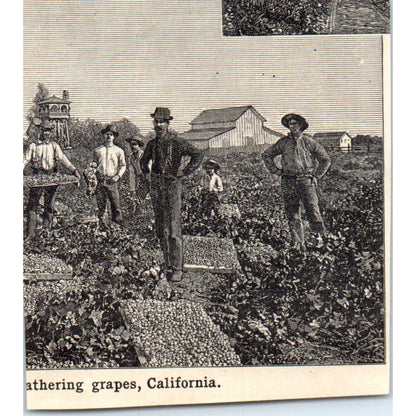 Mount Hood in Oregon 1901 Engraving AF2-P1