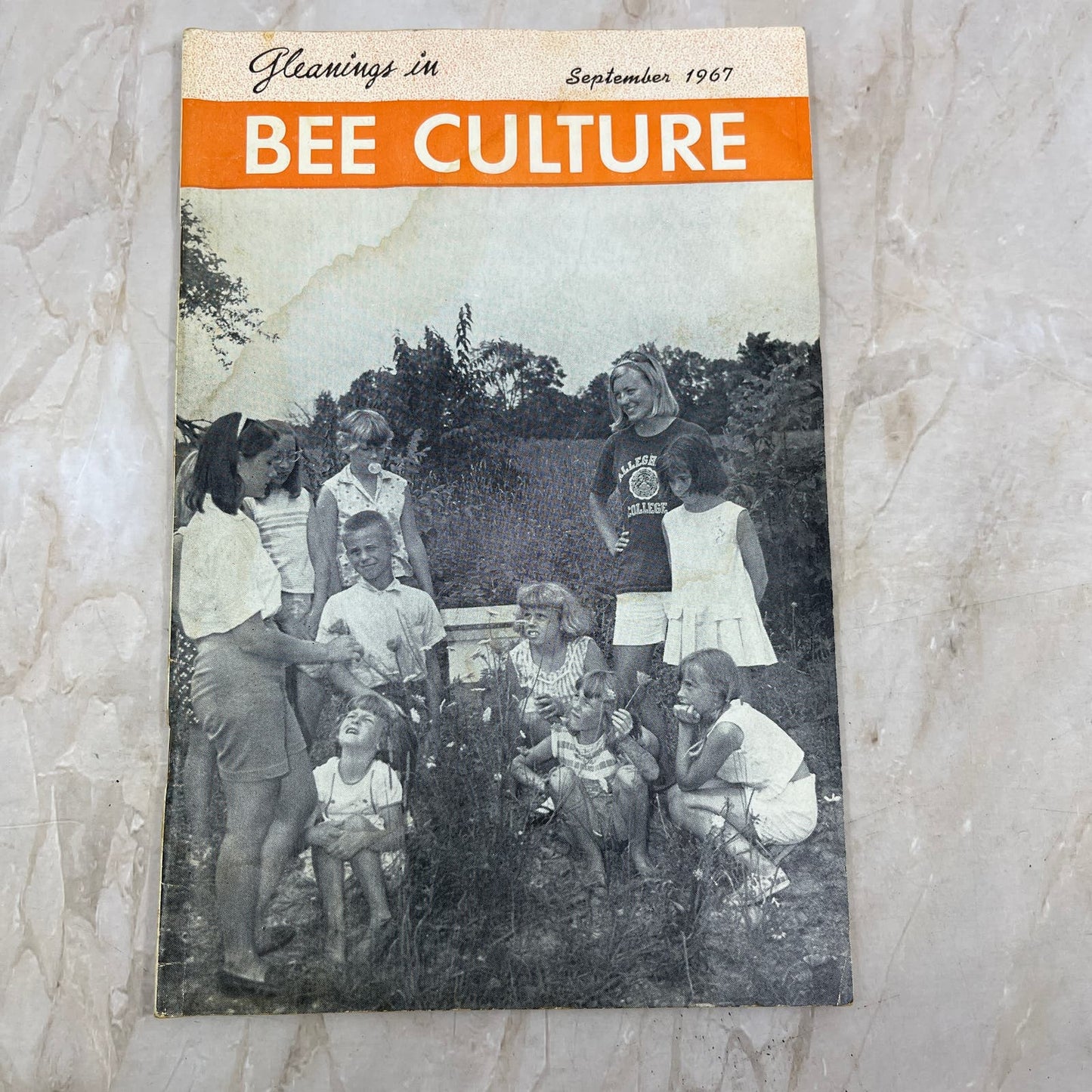 1967 Sept Gleanings in Bee Culture Magazine Bees Beekeeping Honey TD7