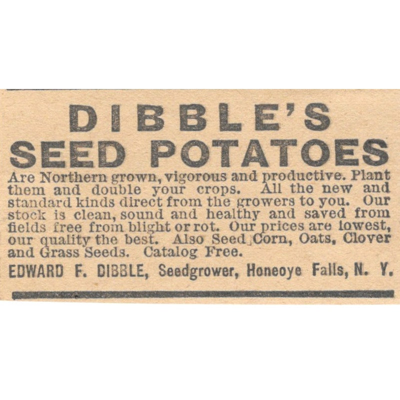 Edward F. Dibble's Seed Potatoes Honeoye Falls NY 1905 Magazine Ad AF1-NES3