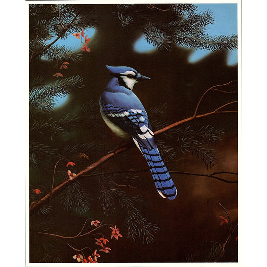 Retro Kitsch Leo Stans "Natures Blue" Blue Jay 8x10 Art Print AF6-18