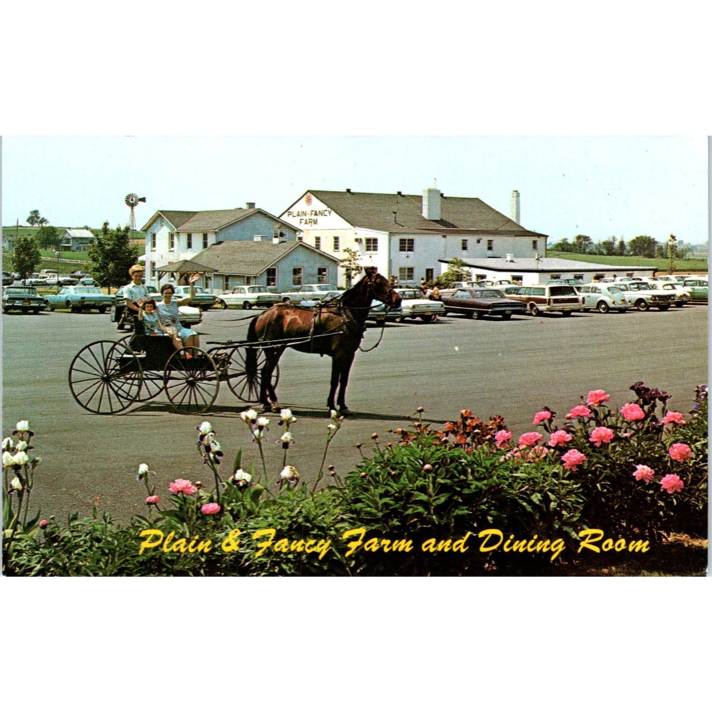Plain & Fancy Farm & Dining Room Pennsylvania Dutch Country Vintage Postcard PD5