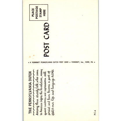 Amish Amos and Sarah Live By The Road Illustrated PA Dutch Postcard PD7