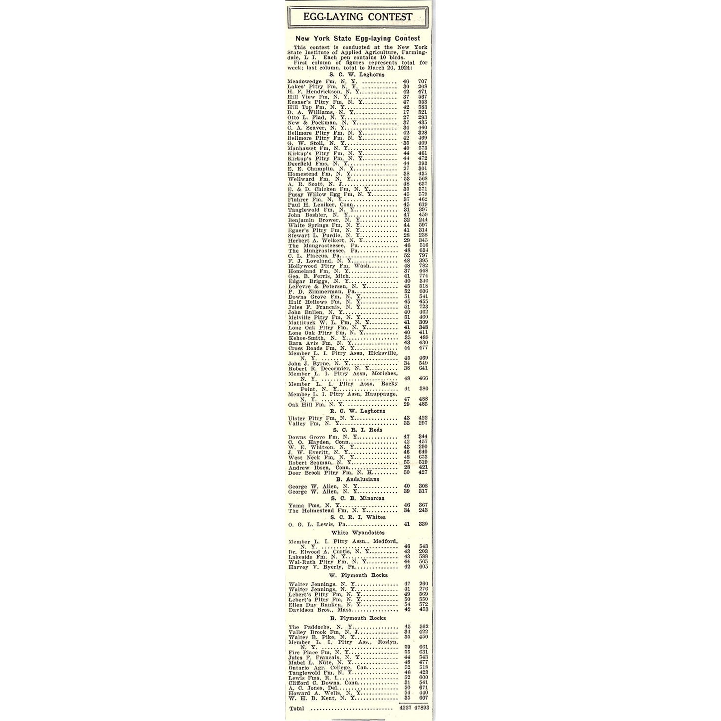 Chicken Egg Laying Contest Results New York State March 26 1924 Ad AG3-4