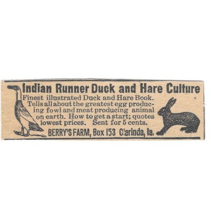 Indian Runner Duck and Hare Culture Berry's Farm Clarinda Iowa 1920 Ad AG2-S9