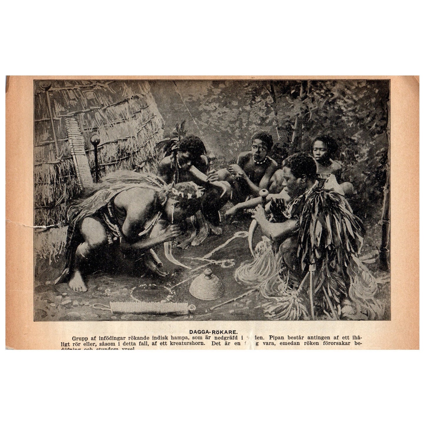 Zulu Witch Doctor 1909 Swedish Engraving Print AF5-17