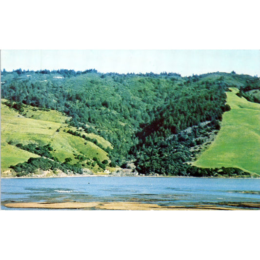 Bolinas Lagoon Audubon Canyon Ranch Stinson Beach CA Vintage Postcard PE4