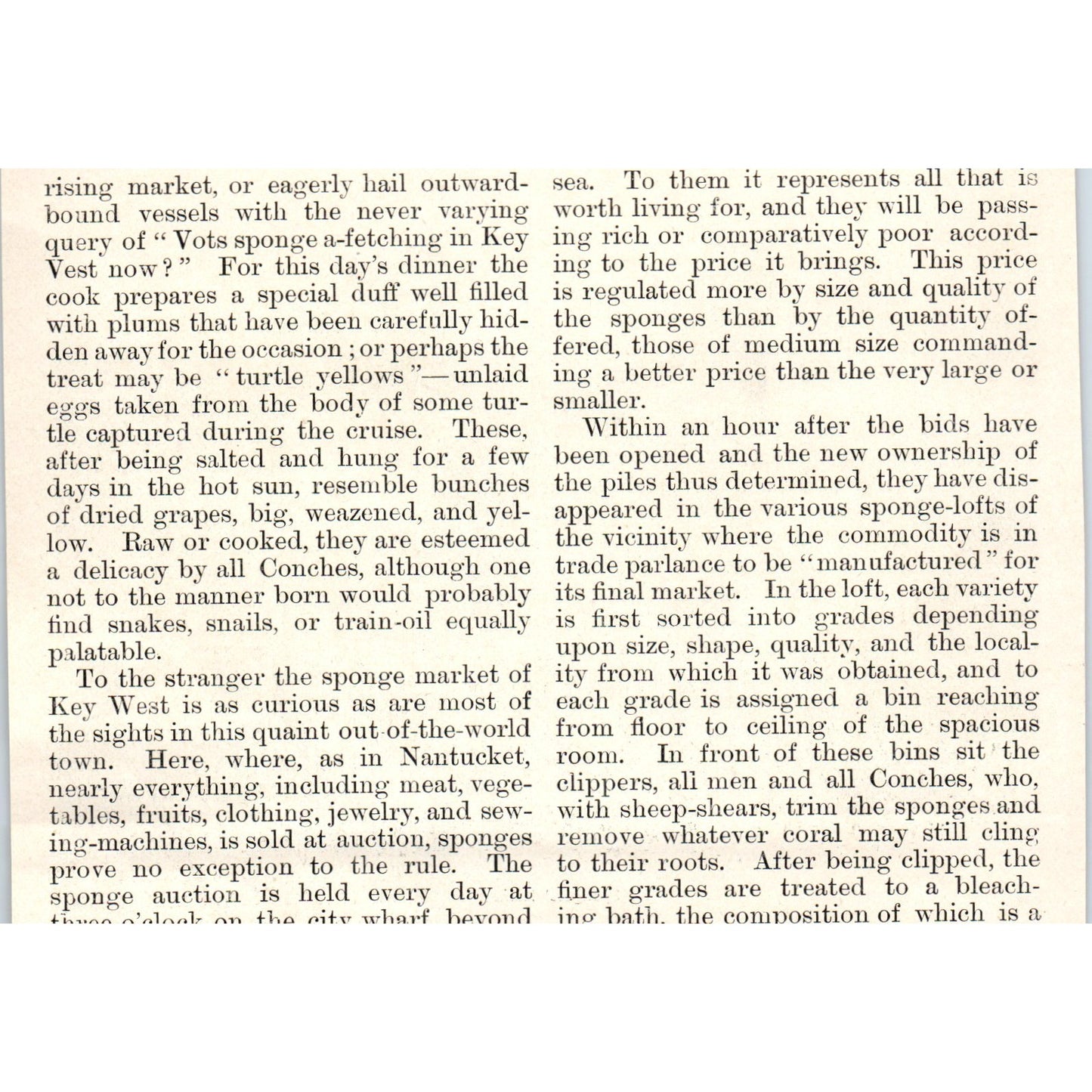 Sponge Fishermen's Spongers Homes Sketch 1892 Magazine Print AK5-H8