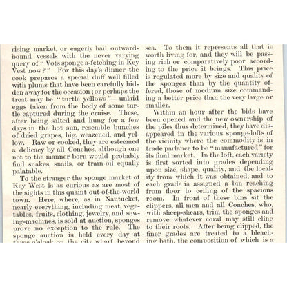 Sponge Fishermen's Spongers Homes Sketch 1892 Magazine Print AK5-H8