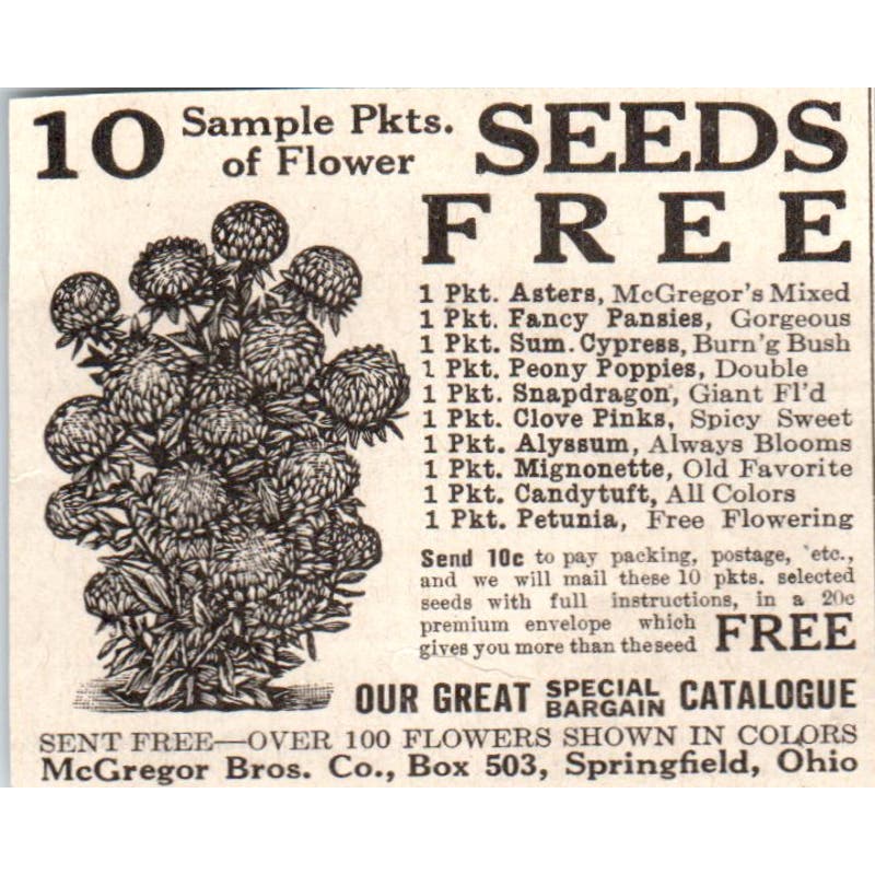 Flower Seeds McGregor Bros Springfield Ohio 1918 Magazine Ad AF1-SS1