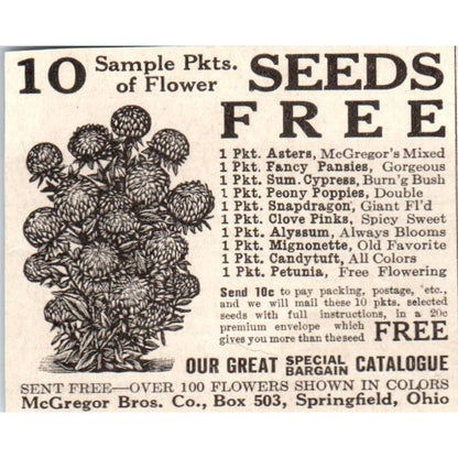 Flower Seeds McGregor Bros Springfield Ohio 1918 Magazine Ad AF1-SS1