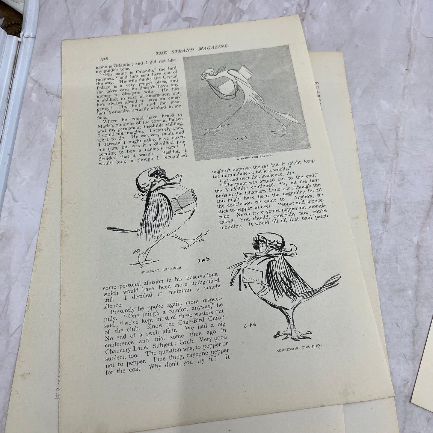 Cage Birds on Show Illustrated by J.A. Shepherd 1897 Victorian Article AE9