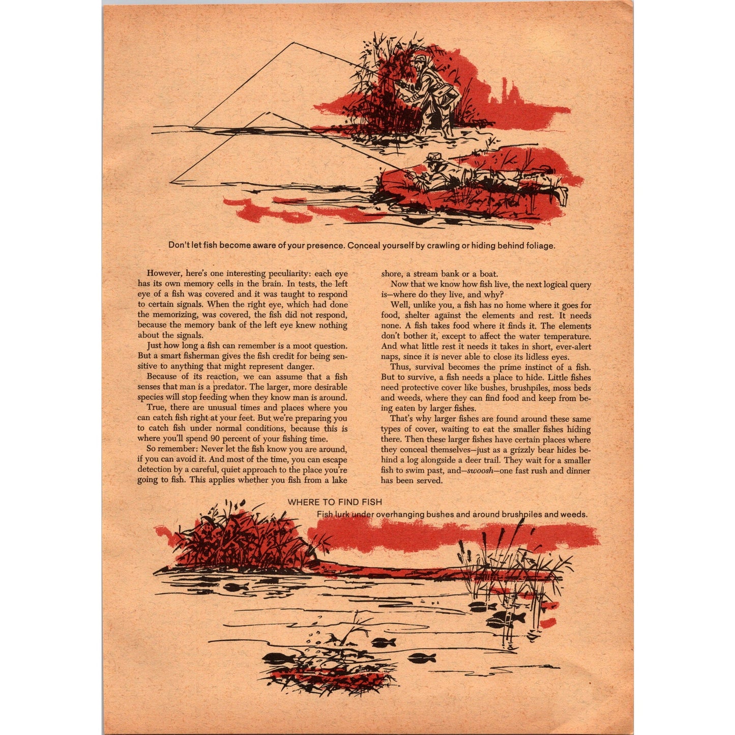 The ABC's of Catching Fish by Homer Circle 8 Page 1966 Article SI11