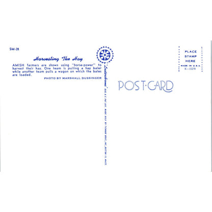 Amish Farmers Harvesting Hay Pennsylvania Dutch Country Postcard PD7