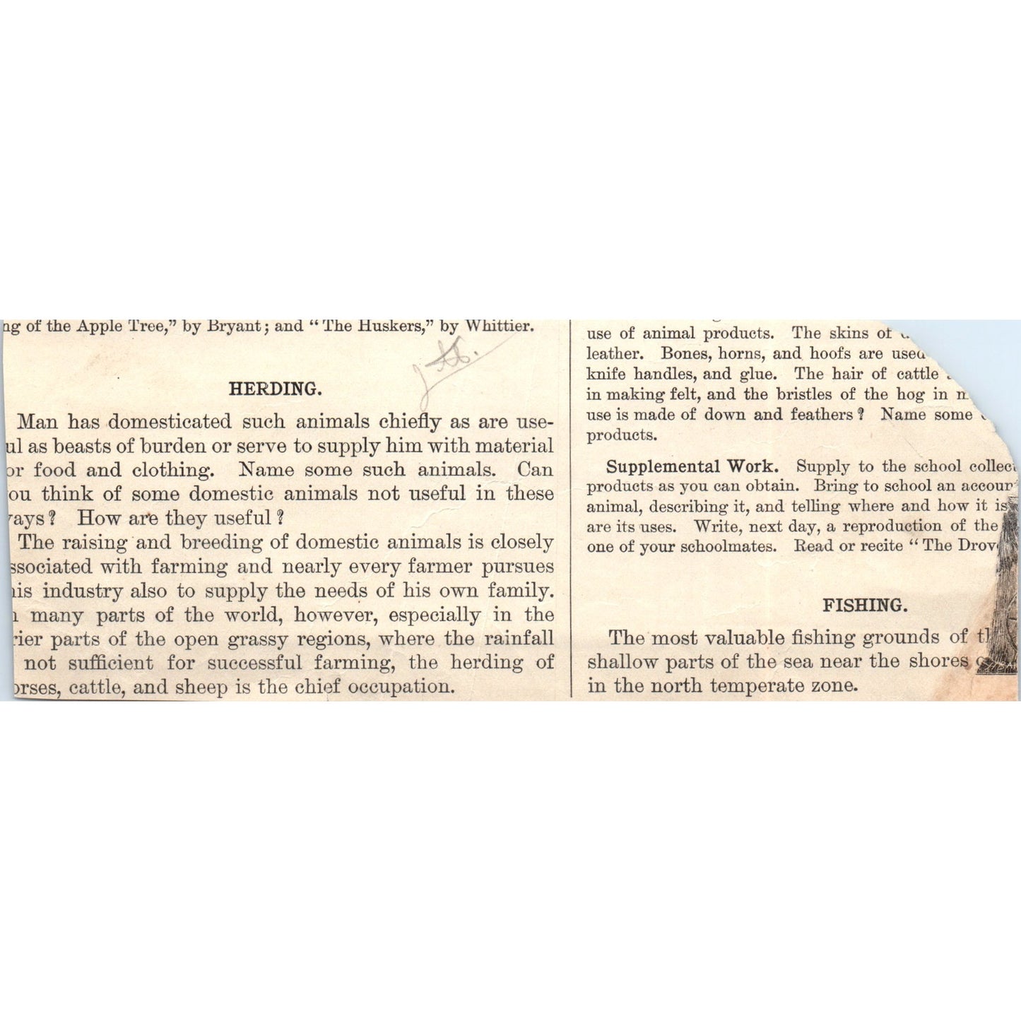 Wheat Harvesting on the Central Lowland of the US 1901 Engraving AF2-A6