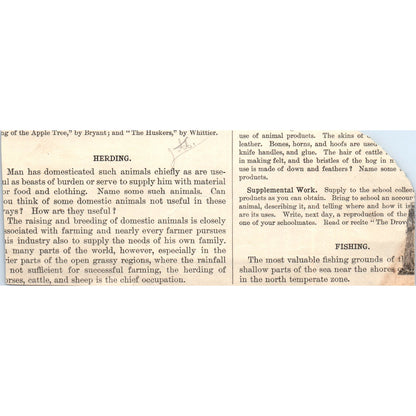 Wheat Harvesting on the Central Lowland of the US 1901 Engraving AF2-A6