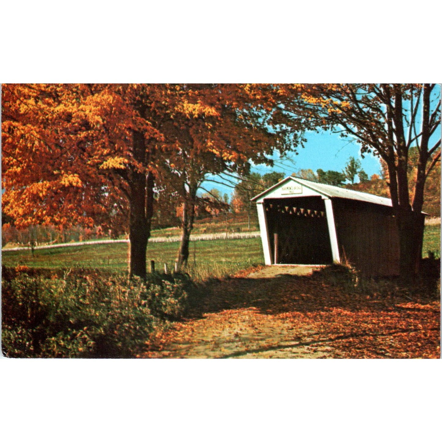 Harmon's Covered Bridge Plum Creek Indiana County PA Vintage Bridge Postcard PD3
