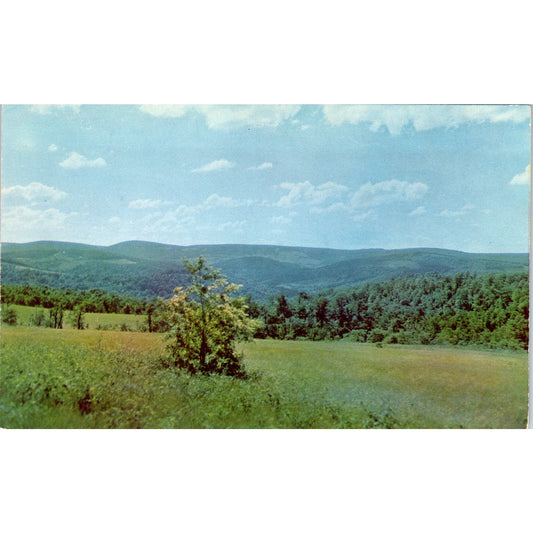 Blue Hills in Somerset County PA Dutch Country Vintage Postcard PD1